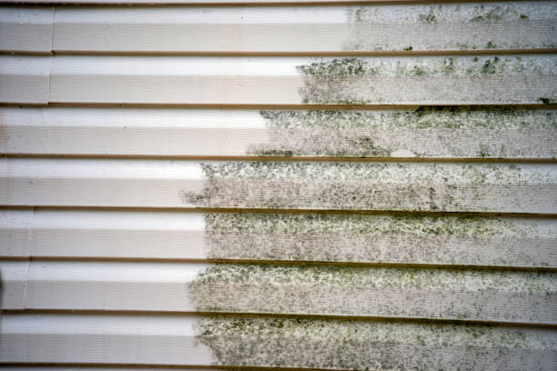 Best James Hardie Siding  in South Eliot, ME